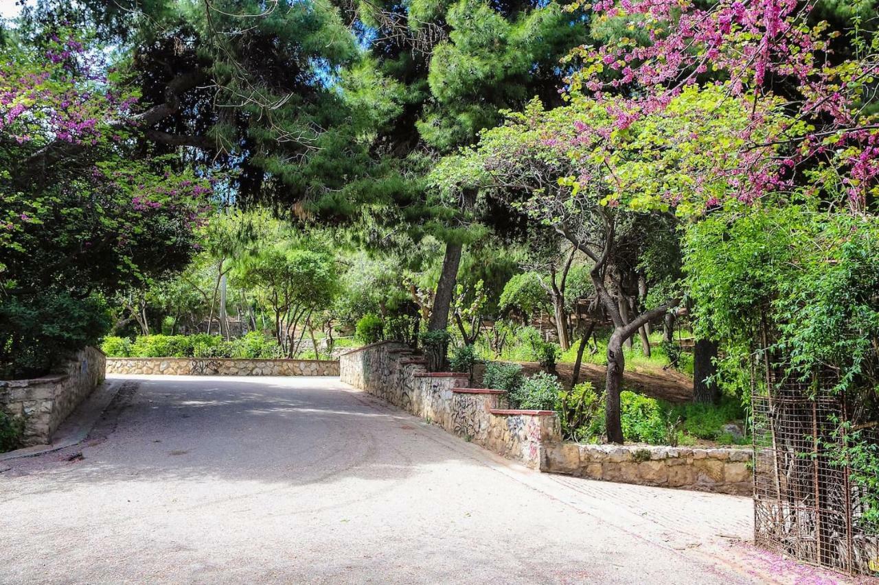 Charming Apartment Near Panathenaic Stadium Exteriér fotografie
